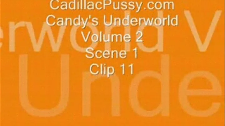 Candy's Underworld Vol 2 Scene 1 Clip 11