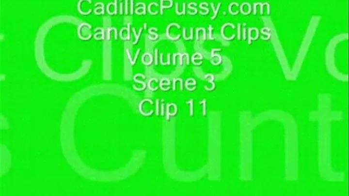 Candy's Cunt Clips Vol Scene 3 Clip 11