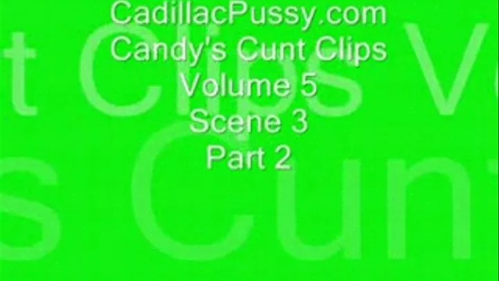 Candy's Cunt Clips Vol 5 Scene 3 Part 2