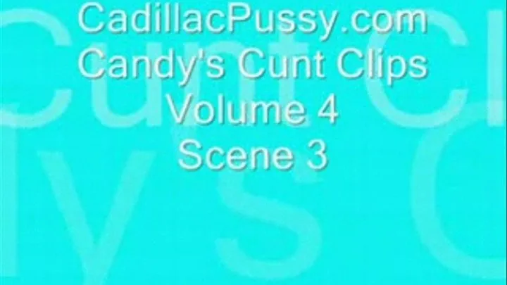 Candy's Cunt Clips Vol 4 Scene 3