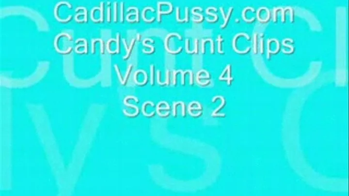 Candy's Cunt Clips Vol 4 Scene 2