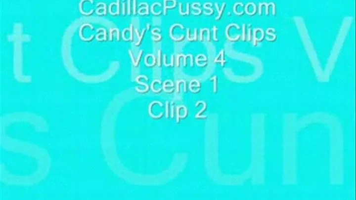 Candy's Cunt Clips Vol 4 Scene 1 Clip 2