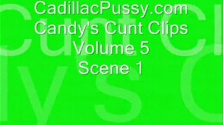 Candy's Cunt Clips Vol 5 Scene 1