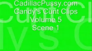 Candy's Cunt Clips Vol 5 Scene 1