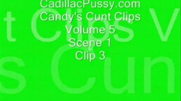 Candy's Cunt Clips Vol 5 Scene 1 Clip 3