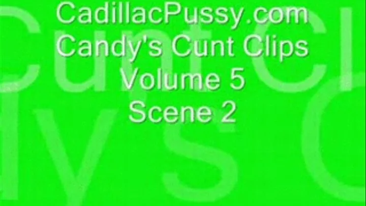 Candy's Cunt Clips Vol 5 Scene 2