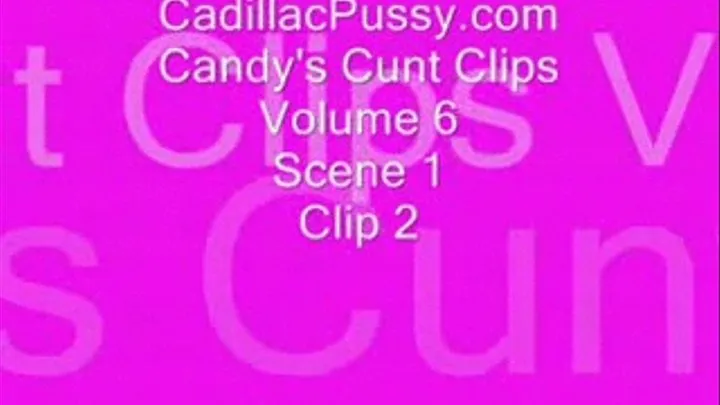 Candy's Cunt Clips Vol 6 Scene 1 Clip 2