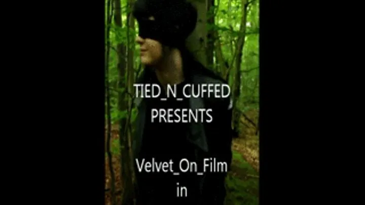 Velvet in Hug A Tree