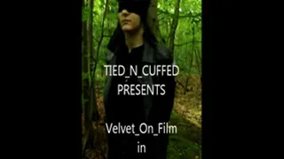 Velvet in Hug a Tree