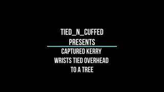 Captured Kerry Wrists Tied Overhead To A Tree