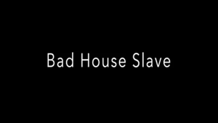 Bad HouseSlave