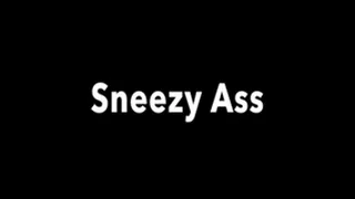 Sneezing Asshole