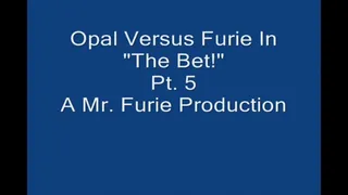 Opal Versus Furie In "The Bet!" Part 5 Large File