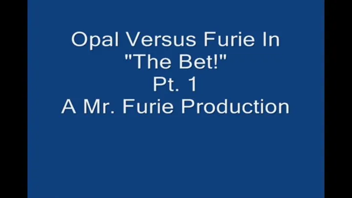 Opal Versus Furie In "The Bet!" Part 1 Large File