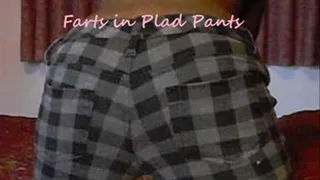 Farts in Plad Pants