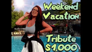 Pay for my Weekend Vacation - FinDom