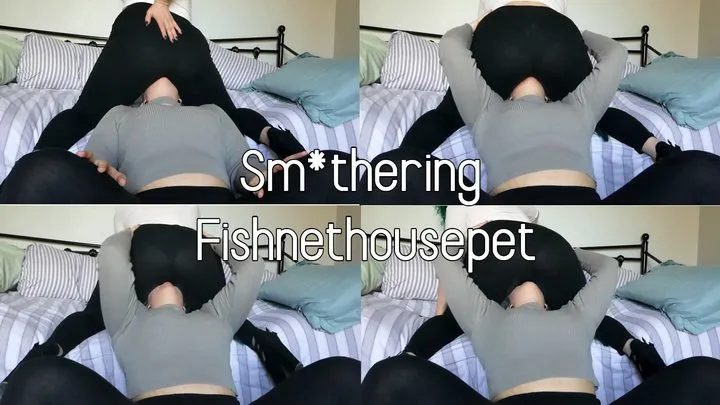 Smothering Fishnethousepet