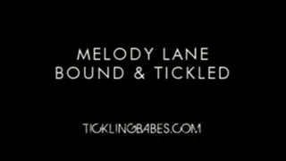 Melody Lane Bound and Tickled featuring Frank The Tank