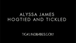 Alyssa James Hogtied and Tickled