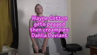 Wayne Cotton gets pegged then creampies Dahlia Deviant