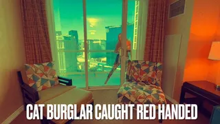 Cat Burglar Caught Red Handed