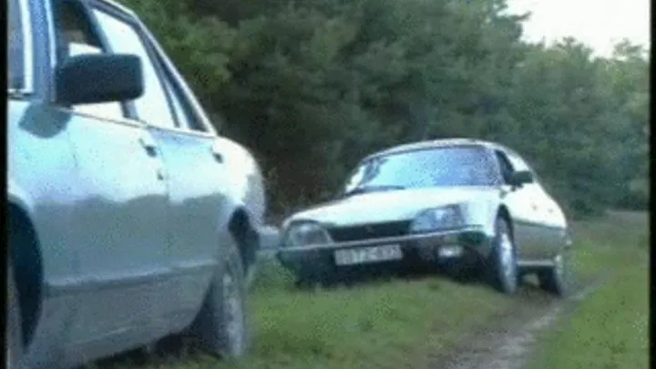 PREGNANT AND THE COUPLE IN CAR