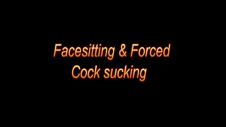 Face sitting and cock sucking