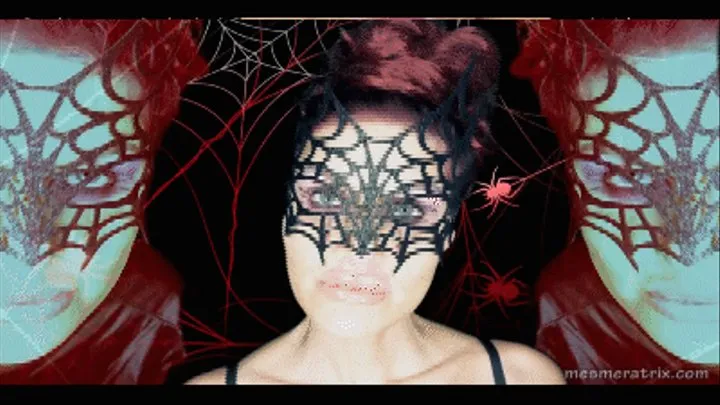 IN HER SPIDERWEB