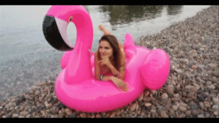 PINK FLAMINGO