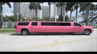 RITCH BITCH ON LIMO