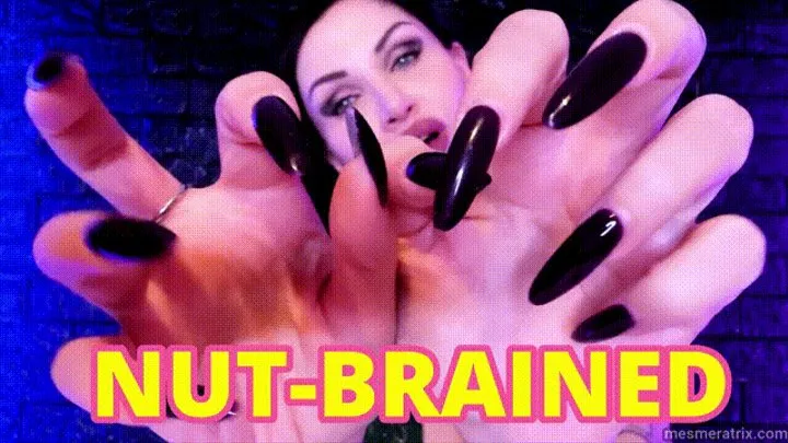 NUT-BRAINED