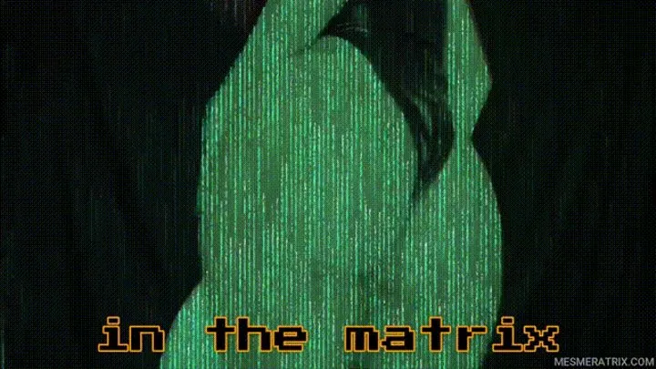 IN THE MATRIX