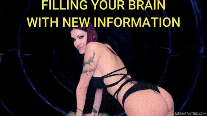 FILLING YOUR BRAIN WITH NEW INFORMATION