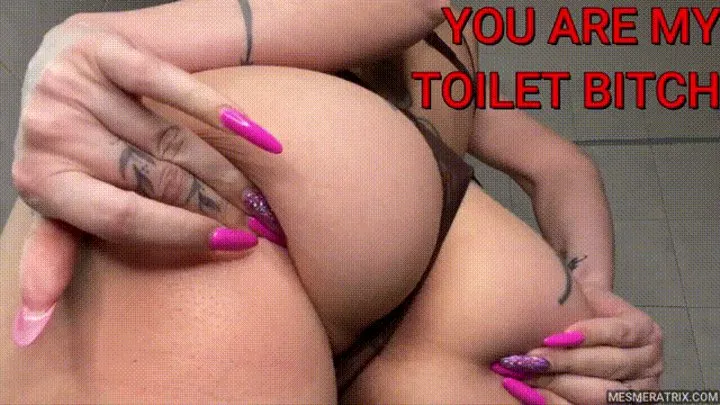 YOU'RE MY TOILET BITCH