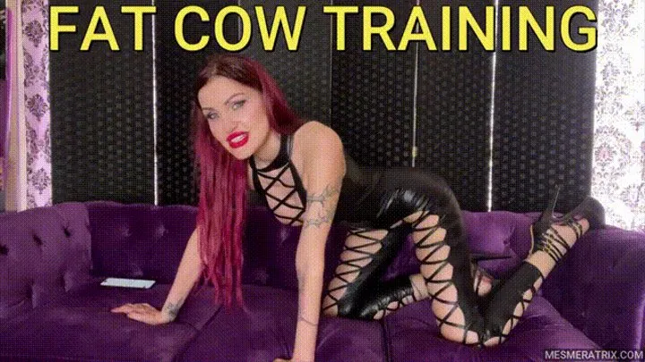 FAT COW TRAINING