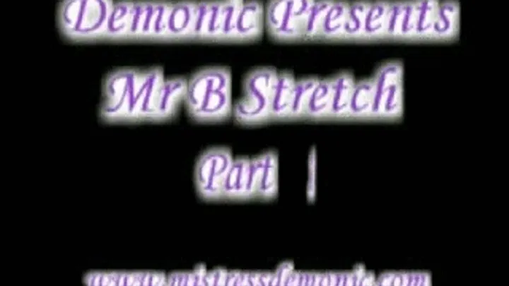 Mr B Stretch ipod/pad/phone