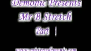 Mr B Stretch ipod/pad/phone