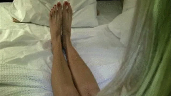 Taylor's Toes