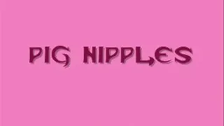 Pig Nipples: Multi-Femdom Nipple & Humiliation