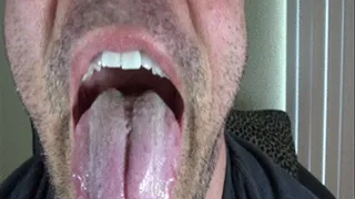 Tony's mouth tour