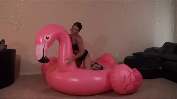 Pink Flamingo part 2