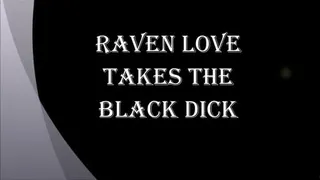 RAVEN LOVE TAKES BLACK DICK