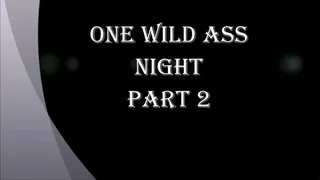 ONE WILD ASS NIGHT PART 2