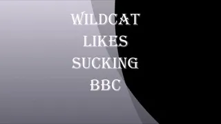 WILDCAT LIKES SUCKING BBC