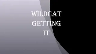 WILDCAT GETTING IT