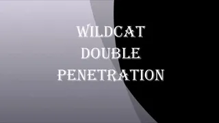 WILDCAT DOUBLE PENETRATION