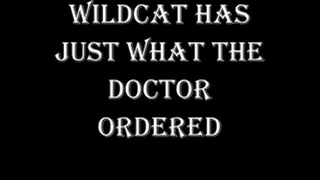 WILDCAT JUST WHAT THE DOCTOR ORDERED