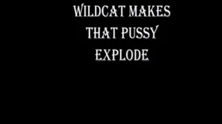 WILDCAT MAKES HER PUSSY EXPLODES