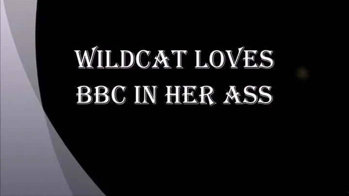 WILDCAT LOVES BBC IN HER ASS