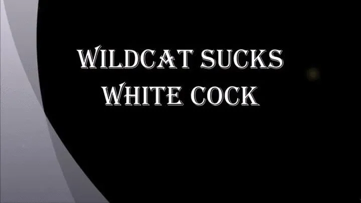 WILDCAT SUCKS WHITE COCKS